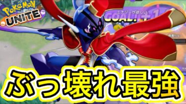 【ポケユナ攻略】【アプデ速報】新パッチソウブレイズがぶっ壊れ最強すぎるwww技持ち物メダル解説【ポケモンユナイト】