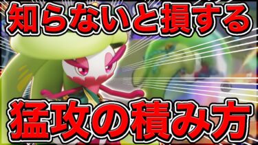 【ポケユナ解説】【絶対に見ろ】知らないとヤバい〝猛攻の基礎知識〟をあなたは知っていますか?【ポケモンユナイト】【実況解説】