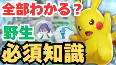 【ポケユナ初心者向け】【全員必見！】野生ポケモンのこと、本当に理解できてますか？知らないとヤバい重要なポイントをプロが初心者にもわかりやすく解説します！【ポケモンユナイト】