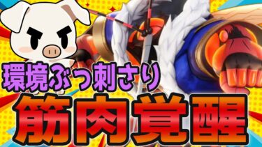 【ポケユナ解説】【まだ気づいてない】実は今環境1番やばいファイター&カメックス環境の王”マッシブーン”立ち回り実況解説【ポケモンユナイト】【FENNEL】