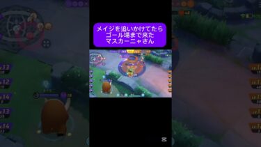 【ポケユナ実況】#ポケモンユナイト #ポケットモンスター #ポケモン #shortvideo #pokemonunite #pokemon #ゲーム配信 #ゲーム #マスカーニャ